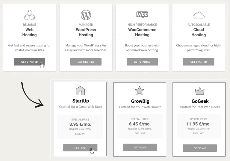 Web hosting options